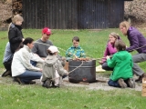 Artikelbild 0