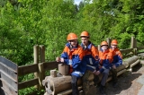 Artikelbild 1