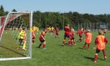 Artikelbild 0