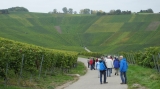 Artikelbild 1