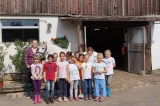Artikelbild 0