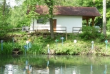 Artikelbild 0