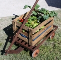 Artikelbild 1
