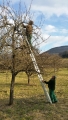 Artikelbild 2