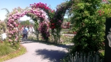 Artikelbild 0
