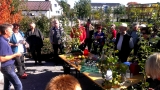 Artikelbild 2