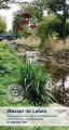 Artikelbild 1