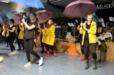 Artikelbild 0