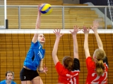 Artikelbild 0