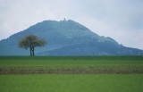 Artikelbild 1
