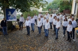 Artikelbild 0