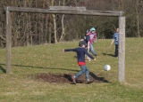 Artikelbild 0