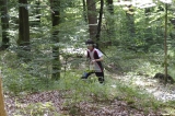 Artikelbild 0