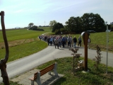 Artikelbild 1