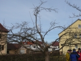 Artikelbild 0