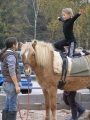 Artikelbild 0